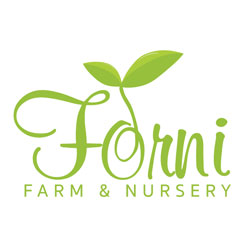 Santa-Rosa summer camps